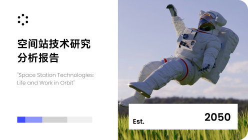 技术研究分析报告模板