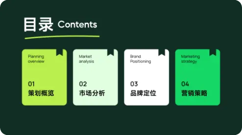 方案介绍版式示例